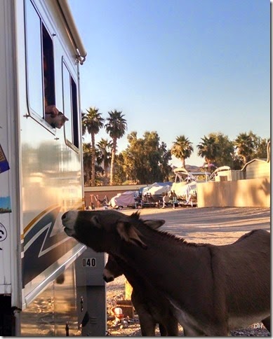 10-23-14 B Emerald Cove (35)e a