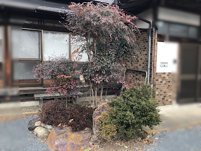 [最も好ましい] 玄関 植木 おしゃれ 293417-玄関 植木 おしゃれ