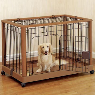 Just Another Dog Crate Training