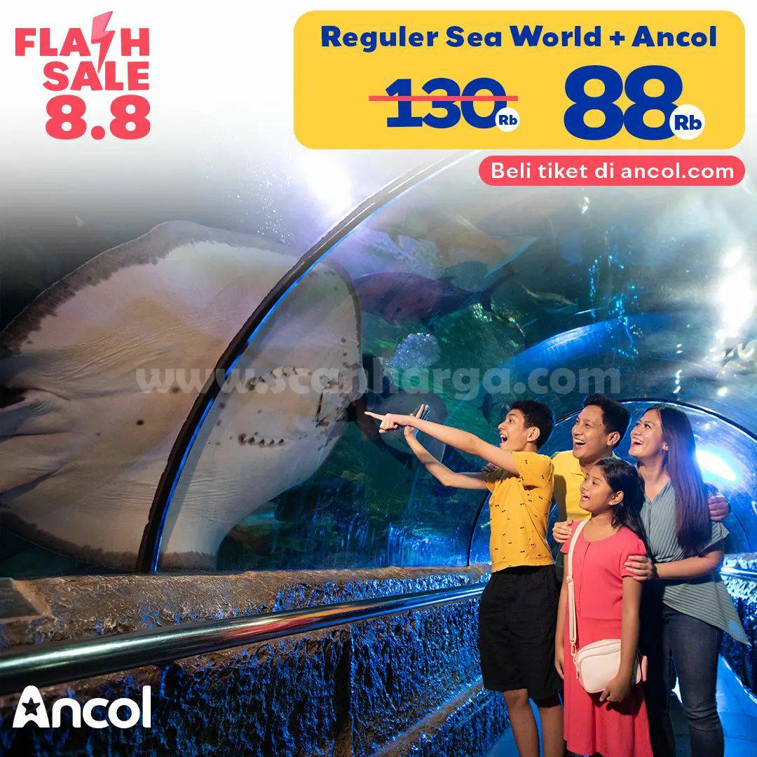 Promo SEAWORLD + ANCOL FLASH SALE 8.8 – Beli Tiket Reguler hanya 88RB