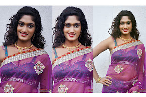 HOTEST HD PHOTOS OF INDIAN ACTRESS LAVANYA IN TRASPARENT SAREE