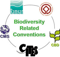 Biodiversity Related Conventions