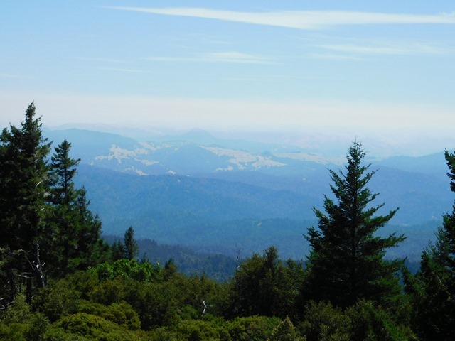 C048_USA CA Kings Peak_2018-07-29_DSCN1869