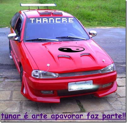 bizarrices br (5)
