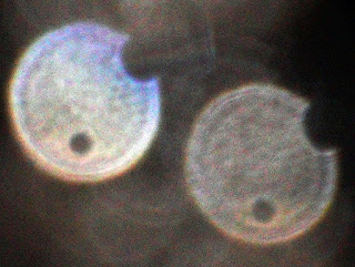 orbs with hole and notch