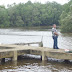 Memancing Di Pekan, Pahang