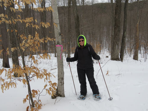 flagging trail