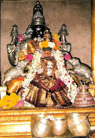 Chidambaram Pundarikavalli Thaayar