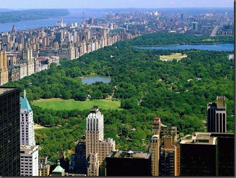 Central Park - New York