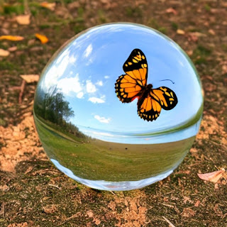 images butterfly glass ball