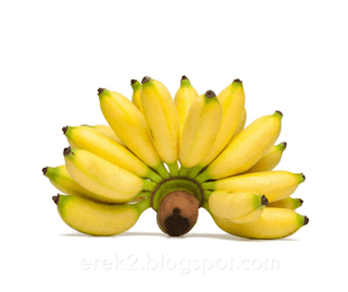 1. Arti Mimpi Makan Buah Pisang: Menurut ramalan primbon jawa, mimpi seperti ini adalah pertanda kurang baik, karena Anda akan mengalami gangguan kesehatan ringan (sakit).    2. Arti Mimpi Membeli Buah Pisang: Sebuah pertanda yang kurang baik, konon mimpi seperti ini adalah gambaran bahwa Anda akan mengalami halangan kalau bepergian.    3. Arti Mimpi Menebang Pohon Pisang: Merupakan isyarat atau firasat cukup baik, karena dipercaya bahwa mimpi ini adalah pertanda persoalan atau masalah yang Anda hadapi akan terselesaikan.    4. Arti Mimpi Diberi Buah Pisang Oleh Seseorang: Firasat atau pertanda baik, mimpi ini konon adalah gambaran bahwa akan ada orang yang datang membantu mengatasi masalah Anda.    5. Arti Mimpi Menanam Pohon Pisang Muda: Pertanda yang kurang baik, karena dipercaya bahwa mimpi ini adalah gambaran keputusan Anda yang tergesa-gesa akan berdampak buruk.    6. Arti Mimpi Melihat Orang Lain Makan Pisang: Sebuah gambaran yang kurang baik, karena mimpi ini adalah isyarat bahwa akan ada anggota keluarga yang mengalami sakit.    Angka Main Mimpi Buah Pisang 2D: 17 - 29  Angka Tafsir Mimpi Makan Buah Pisang 3D: 317 - 429  Angka Ramalan Mimpi Membeli Buah Pisang 4D: 6317 - 8429