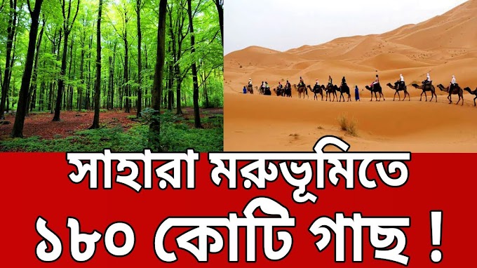 সাহারা মরুভূমিতে ১৮০ কোটি গাছের খোঁজ - কিন্তু কিভাবে ? | 180 Crores Tree in Sahara 