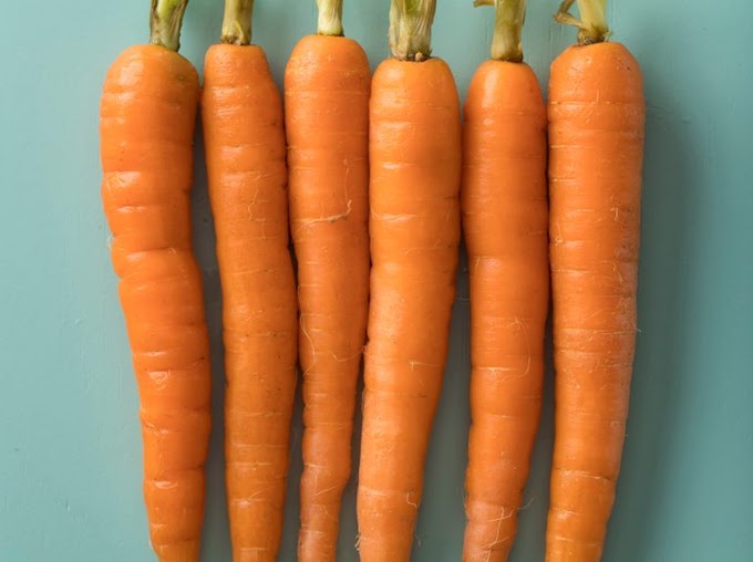 Advantages of Carrots for Weight reduction, Eyes, Glucose, Skin, and Hair Development