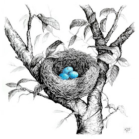 08-Eggs-in-a-Nest-Animals-and-Nature-Drawings-Kristin-Frost