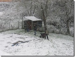 first snow 04