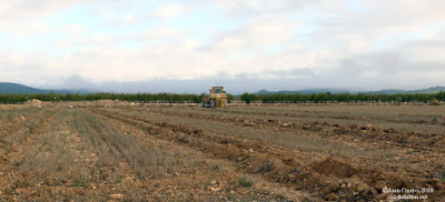 ruta-bici-murcia-santiago