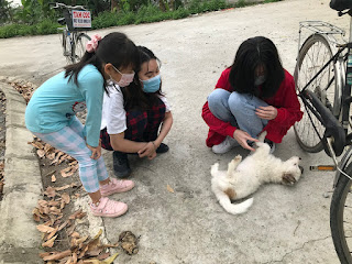 Xu thế rất đáng mừng khi trẻ em yêu thú cưng tại Việt Nam