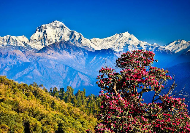 Nepal The Land of Himalayas
