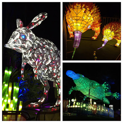 Vivid Sydney Taronga Zoo