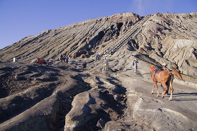 Berkuda ke Puncak Gunung Bromo