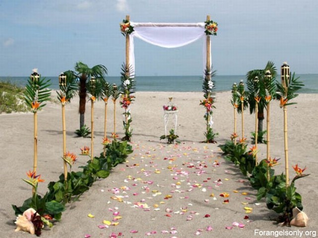 Beach Wedding Decor