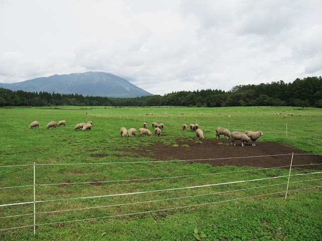 小岩井農場