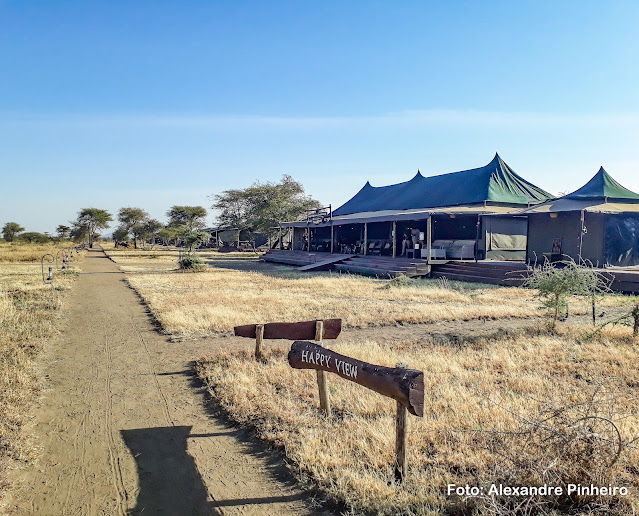 Hospedagem no Parque Nacional do Serengeti, Tanzânia