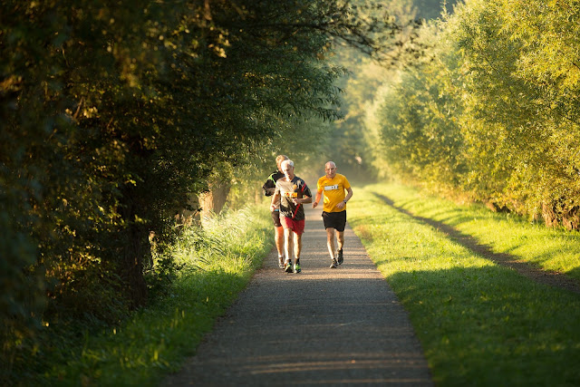 exercise for the elderly