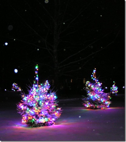 snowy night