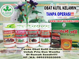 Obat Kutil Kelamin