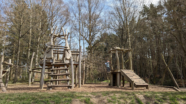 The Gruffalo Trail & Zog Trail - Hamsterley Forest, Durham