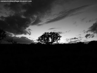 NATURE VIEWS / Fotografias de natureza, Castelo de Vide