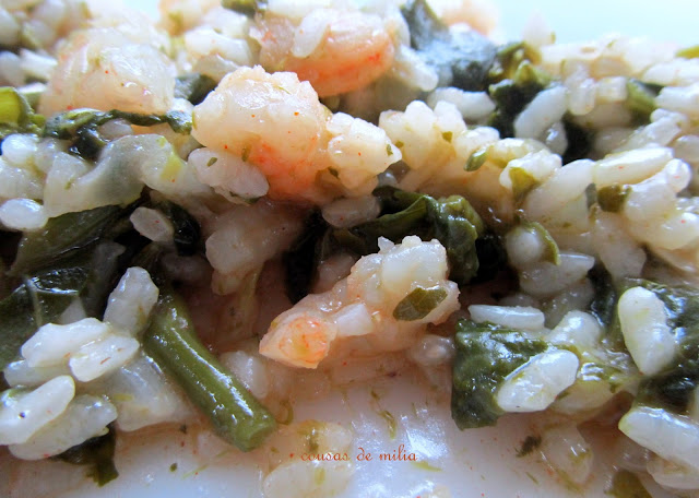 Arroz de grelos y langostinos al azafrán