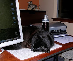 black cat on home office desk