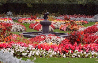 Tempat Wisata di London : Queen Mary's Garden