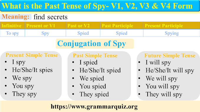 Past Tense of Spy with Example Conjugation