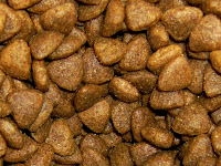 dry cat food