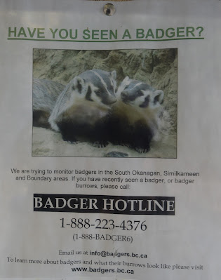 Badger Citizen Science Trans Canada Trail.