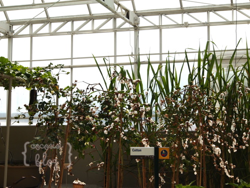 P4290555-2012-06-14-17-33.jpg