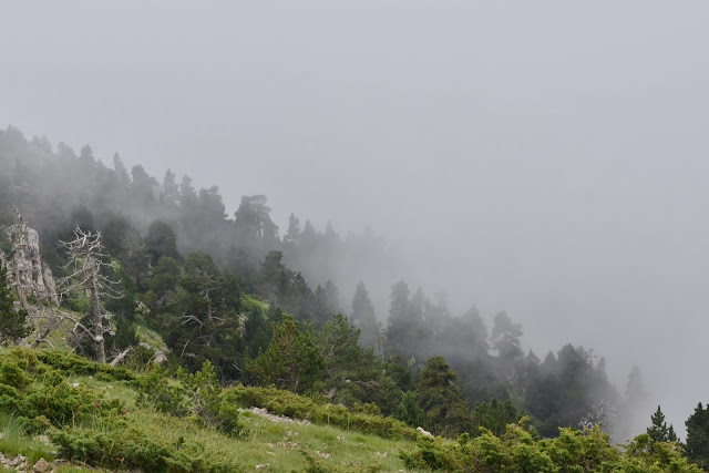 Cavalls del Vent Prat d'Aguiló Cortals de l'Ingla Serrat de les esposes. Pirineo Cadí Moixeró niebla serrat de la muga