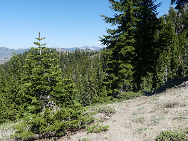 trail at the saddle