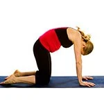 Cat Pose (Bidalasana/Marjaryasana)