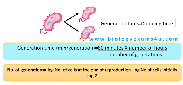 How to calculate generation time and number of generations of bacteria?