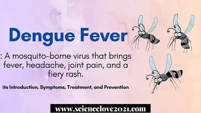 Dengue Fever: Introduction, Symptoms, Treatment, and Prevention