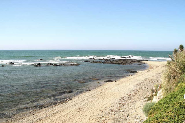 nadar-playa-bandera-azul