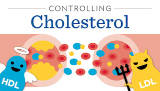 7 Medicinal Plants to reduce cholesterol