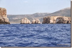 IMG_5726