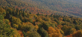 Couleurs automnales au Québec