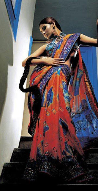 Pakistani Model in a Saree with Long Hair, Very Fashionable Look