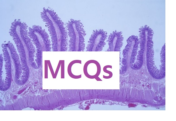 Histology MCQ Collection pdf